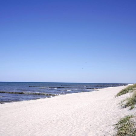 Achtern Diek 8A - Wohnung 5 Zingst Kültér fotó