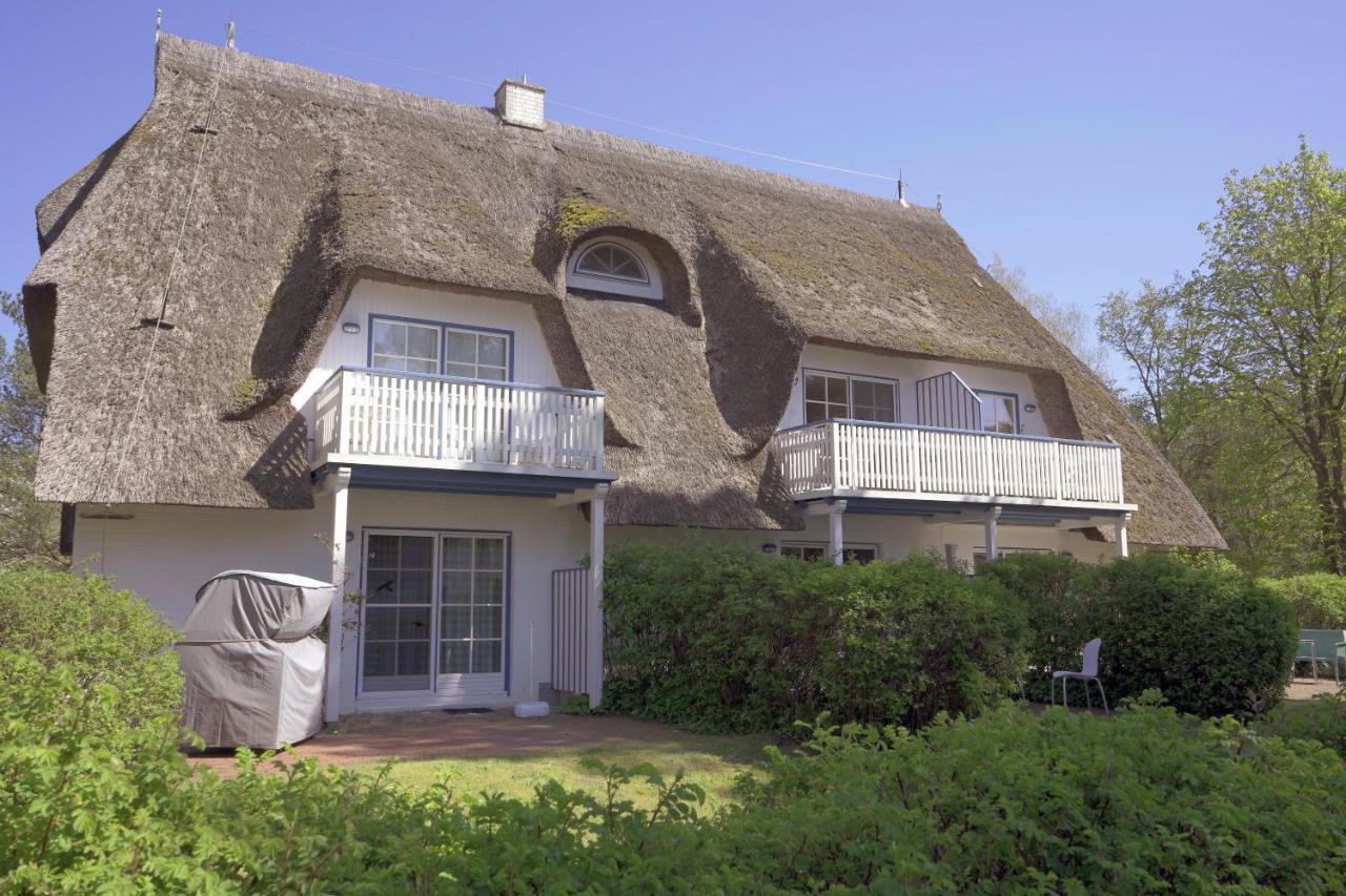 Achtern Diek 8A - Wohnung 5 Zingst Kültér fotó