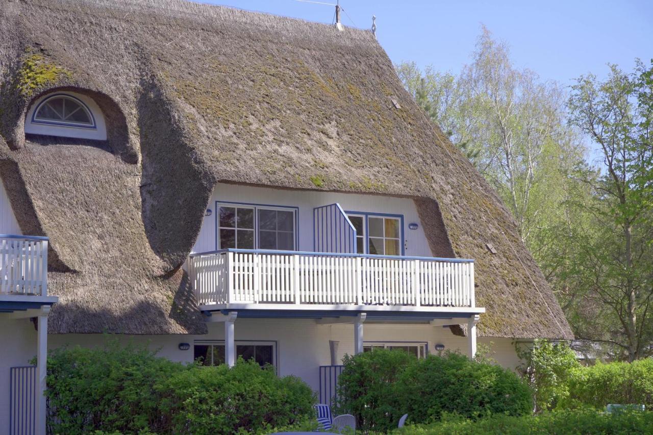 Achtern Diek 8A - Wohnung 5 Zingst Kültér fotó