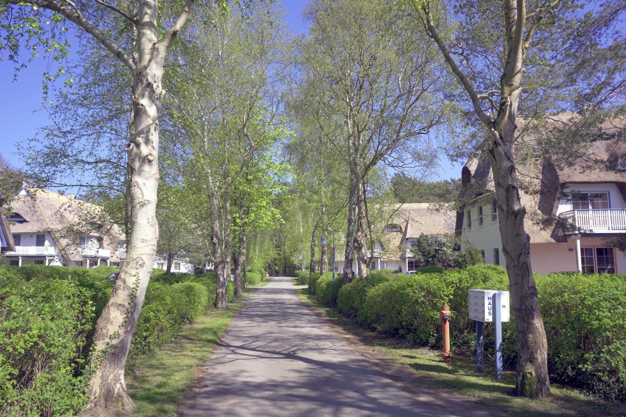 Achtern Diek 8A - Wohnung 5 Zingst Kültér fotó